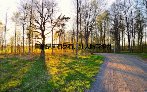 真的是应有尽有, 让人眼花缭乱