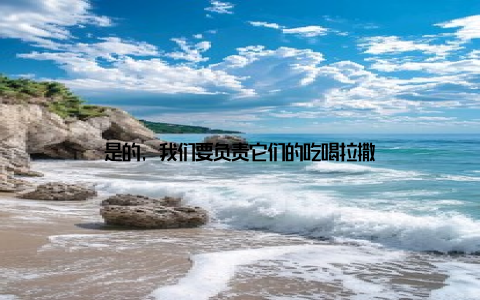 是的, 我们要负责它们的吃喝拉撒